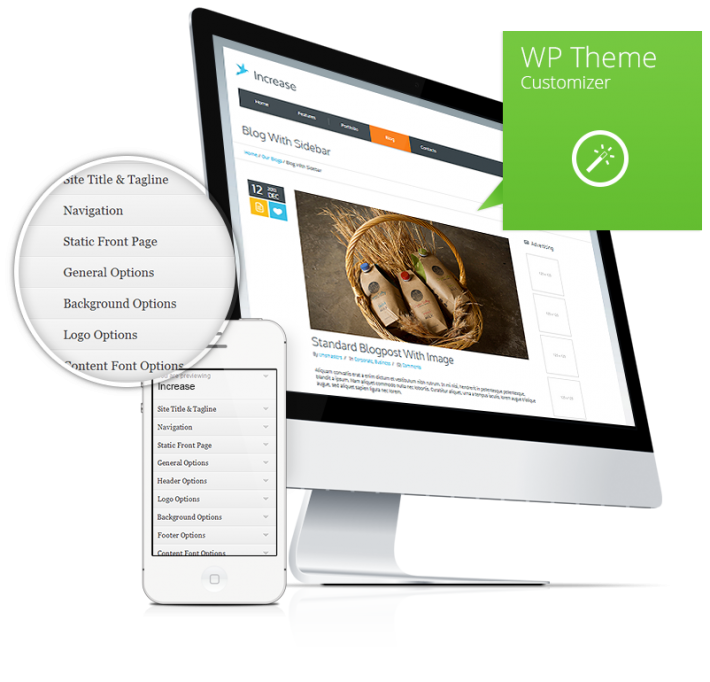 WP-Theme-Customizer